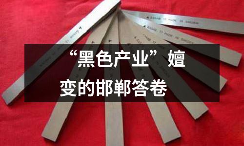 “黑色產業”嬗變的邯鄲答卷