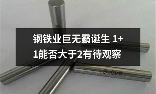 鋼鐵業巨無霸誕生 1+1能否大于2有待觀察
