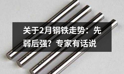 關于2月鋼鐵走勢：先弱后強？專家有話說