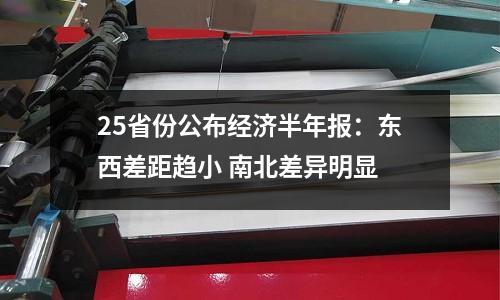 25省份公布經濟半年報：東西差距趨小 南北差異明顯