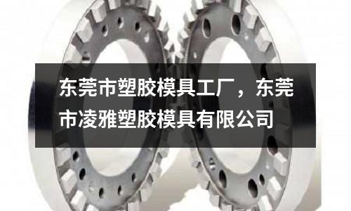 東莞市塑膠模具工廠，東莞市凌雅塑膠模具有限公司