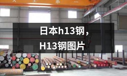 日本h13鋼，H13鋼圖片