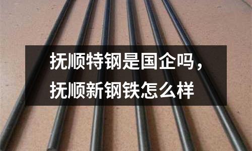 撫順特鋼是國企嗎，撫順新鋼鐵怎么樣