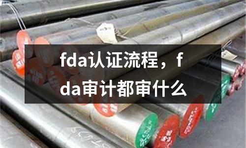 fda認證流程，fda審計都審什么