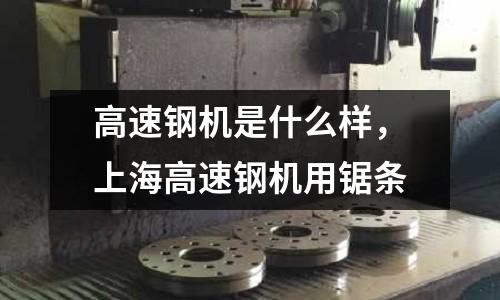 高速鋼機是什么樣，上海高速鋼機用鋸條