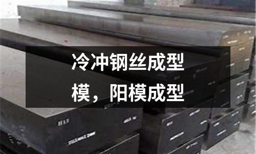 冷沖鋼絲成型模，陽模成型