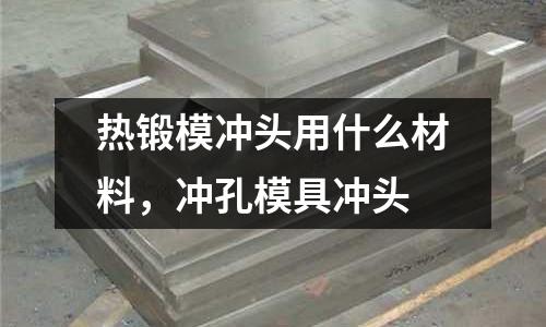 熱鍛模沖頭用什么材料，沖孔模具沖頭