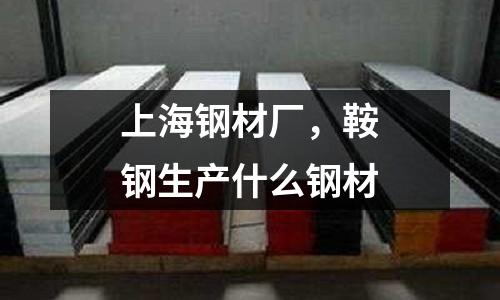 上海鋼材廠，鞍鋼生產什么鋼材