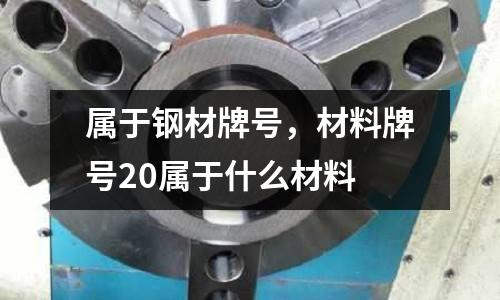 屬于鋼材牌號(hào)，材料牌號(hào)20屬于什么材料