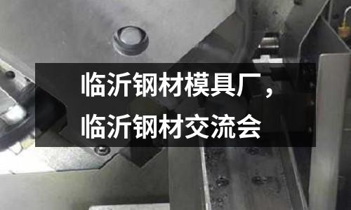 臨沂鋼材模具廠，臨沂鋼材交流會