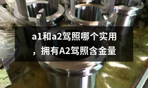 a1和a2駕照哪個實用，擁有A2駕照含金量