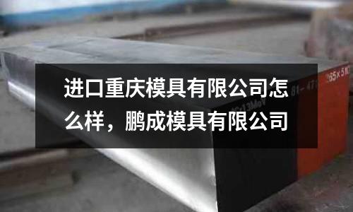 進口重慶模具有限公司怎么樣，鵬成模具有限公司
