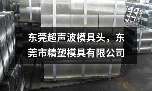 東莞超聲波模具頭，東莞市精塑模具有限公司