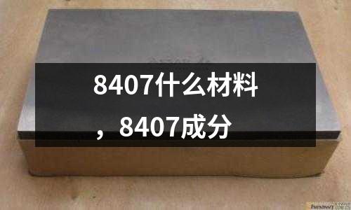 8407什么材料，8407成分