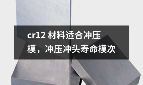cr12 材料適合沖壓模，沖壓沖頭壽命模次