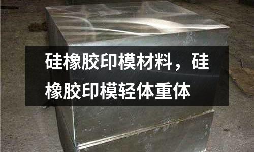 硅橡膠印模材料，硅橡膠印模輕體重體