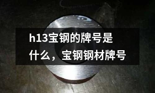 h13寶鋼的牌號是什么，寶鋼鋼材牌號