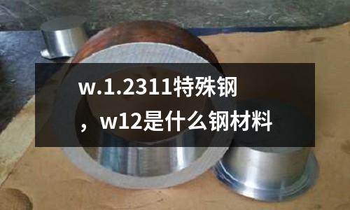 w.1.2311特殊鋼，w12是什么鋼材料