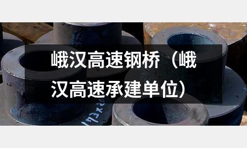 峨漢高速鋼橋（峨漢高速承建單位）