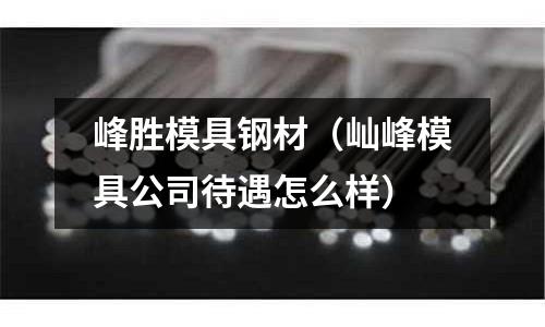 峰勝模具鋼材（屾峰模具公司待遇怎么樣）