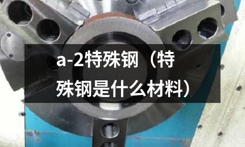a-2特殊鋼（特殊鋼是什么材料）