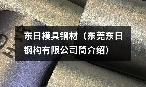 東日模具鋼材（東莞東日鋼構有限公司簡介紹）