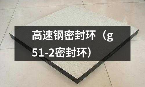 高速鋼密封環（g51-2密封環）