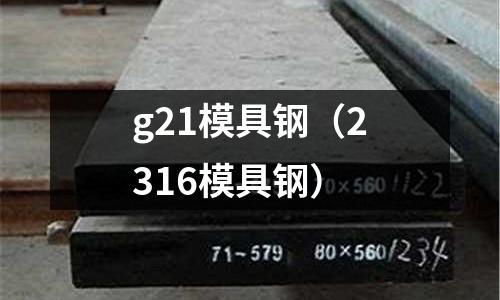 g21模具鋼（2316模具鋼）