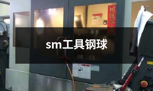sm工具鋼球