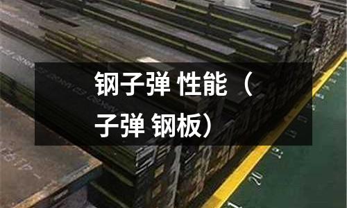 鋼子彈 性能（子彈 鋼板）