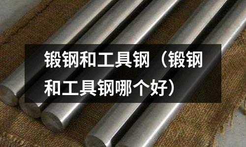鍛鋼和工具鋼（鍛鋼和工具鋼哪個好）