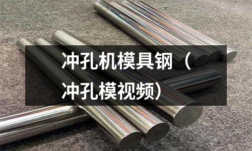 沖孔機(jī)模具鋼（沖孔模視頻）