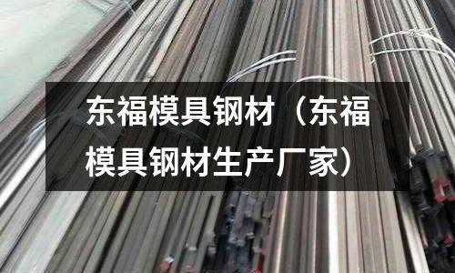 東福模具鋼材（東福模具鋼材生產(chǎn)廠家）