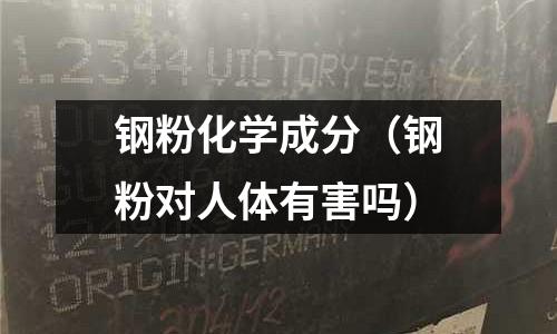 鋼粉化學成分(鋼粉對人體有害嗎)