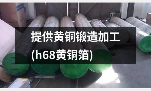 提供黃銅鍛造加工(h68黃銅箔)