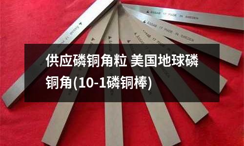 供應(yīng)磷銅角粒 美國地球磷銅角(10-1磷銅棒)