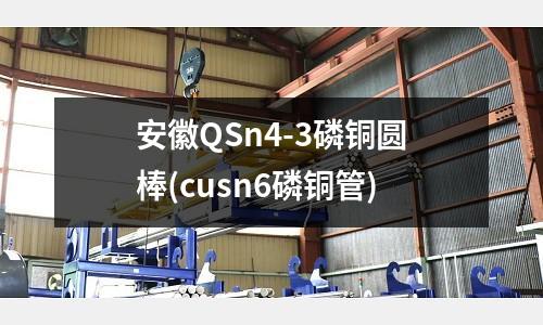 安徽QSn4-3磷銅圓棒(cusn6磷銅管)