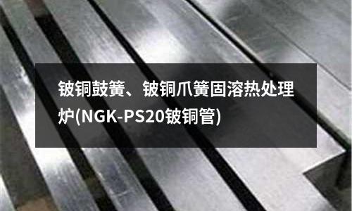 鈹銅鼓簧、鈹銅爪簧固溶熱處理爐(NGK-PS20鈹銅管)