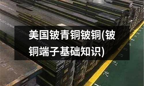 美國(guó)鈹青銅鈹銅(鈹銅端子基礎(chǔ)知識(shí))