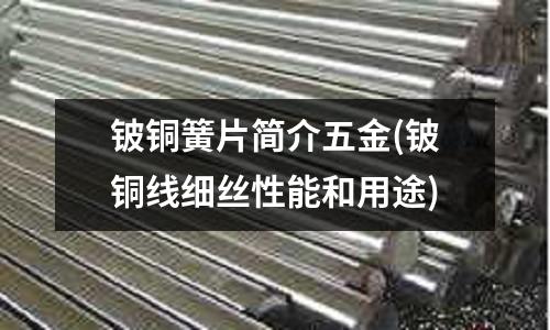 鈹銅簧片簡(jiǎn)介五金(鈹銅線細(xì)絲性能和用途)