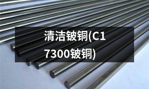 清潔鈹銅(C17300鈹銅)