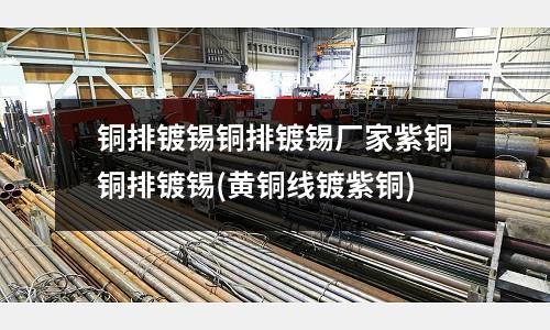 銅排鍍錫銅排鍍錫廠家紫銅銅排鍍錫(黃銅線鍍紫銅)