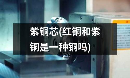 紫銅芯(紅銅和紫銅是一種銅嗎)