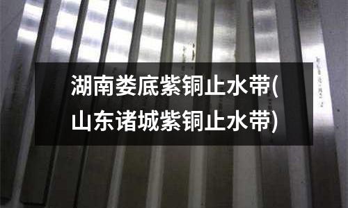 湖南婁底紫銅止水帶(山東諸城紫銅止水帶)