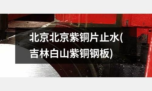 北京北京紫銅片止水(吉林白山紫銅鋼板)