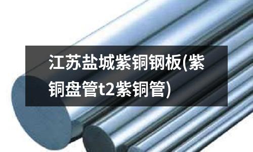 江蘇鹽城紫銅鋼板(紫銅盤管t2紫銅管)