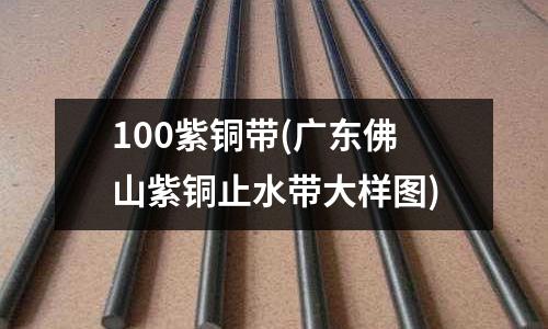 100紫銅帶(廣東佛山紫銅止水帶大樣圖)