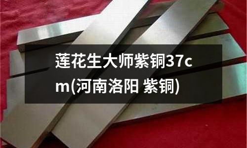 蓮花生大師紫銅37cm(河南洛陽 紫銅)