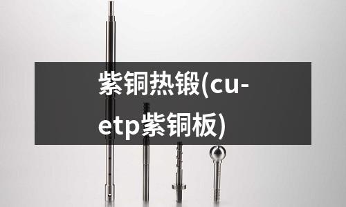 紫銅熱鍛(cu-etp紫銅板)