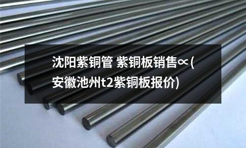 沈陽紫銅管 紫銅板銷售∝(安徽池州t2紫銅板報價)
